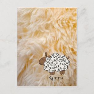 Schafe Postkarte