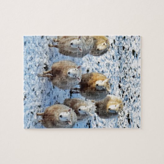 Schafe Puzzle (Horizontal)