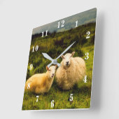 Schafe Quadratische Wanduhr (Winkel)