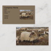 Schafe - Schafe auf dem Heidegebiet Visitenkarte (Vorne/Hinten)