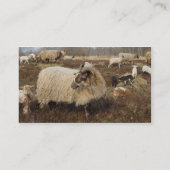 Schafe - Schafe auf dem Heidegebiet Visitenkarte (Rückseite)