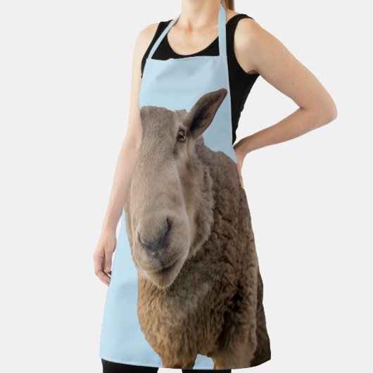 Schafe Schürze (InSitu)