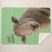 Schafe Sherpadecke (Vorderseite (Horizontal))