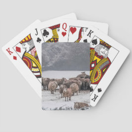Schafe Spielkarten