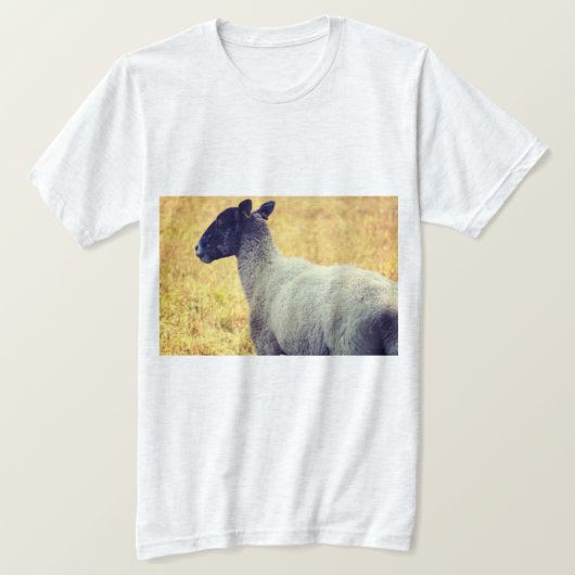 Schafe T-Shirt (Design vorne)