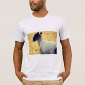 Schafe T-Shirt (Vorderseite)