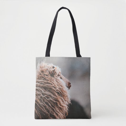 SCHAFE TASCHE (Vorderseite)