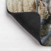 Schafe, Texel, Holland Mousepad (Ecke)