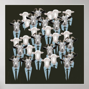 Schafe u. Ziegen Poster