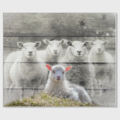 Schafe und Baby Lamb Geschenkpapier (Flach)