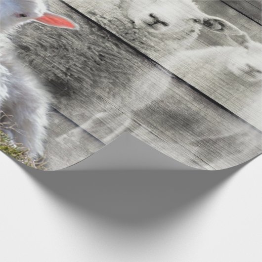 Schafe und Baby Lamb Geschenkpapier (Ecke)