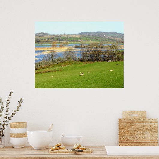 Schafe und der überflutete Fluss Exe Poster (Küche)