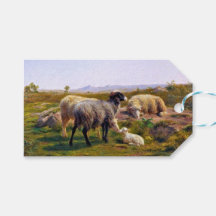 Schafe und ein Lamm in der Natur (von Rosa Bonheur