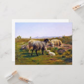 Schafe und ein Lamm in der Natur (von Rosa Bonheur Karte (Vorderseite/Rückseite Beispiel)