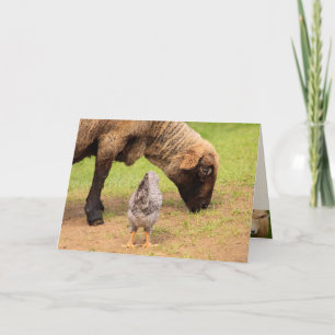 Schafe und Hühnchen Liebe Freunde zum Geburtstag Karte