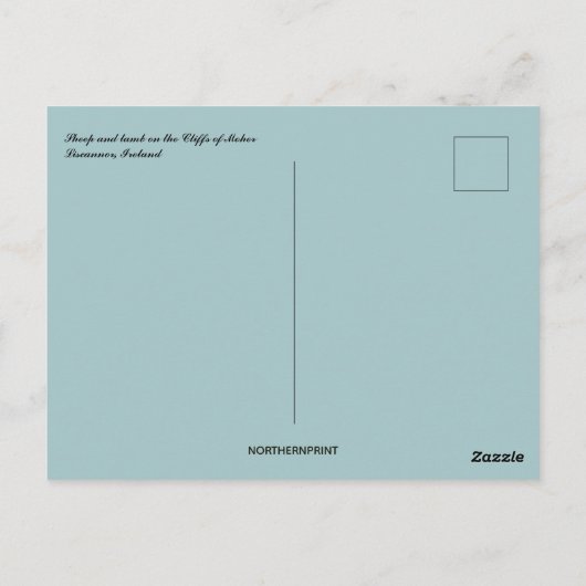 Schafe und Lamm auf den Klippen Irlands Postkarte (Rückseite)