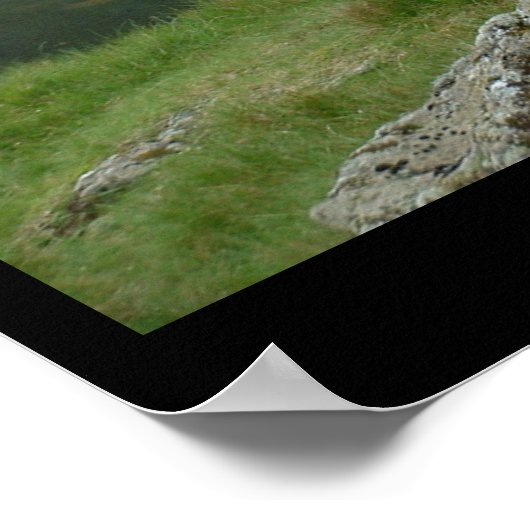 Schafe und Lamm sagt Baa, Baa (Poster) Poster (Ecke)