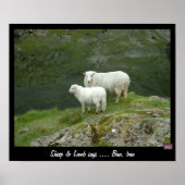 Schafe und Lamm sagt Baa, Baa (Poster) Poster (Vorne)