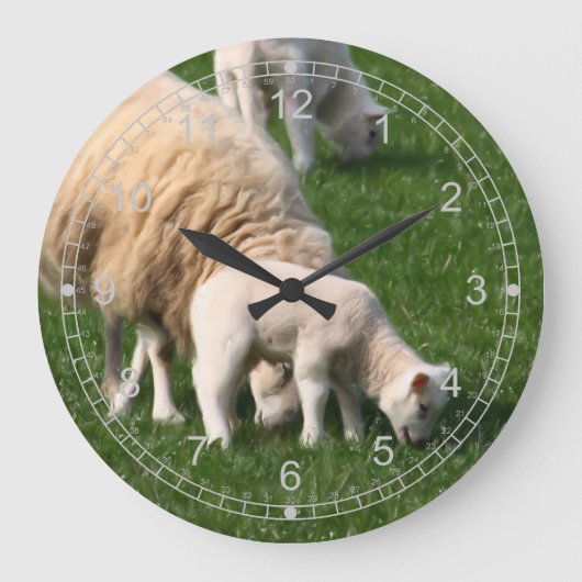Schafe und Lämmer Große Wanduhr (Vorderseite)