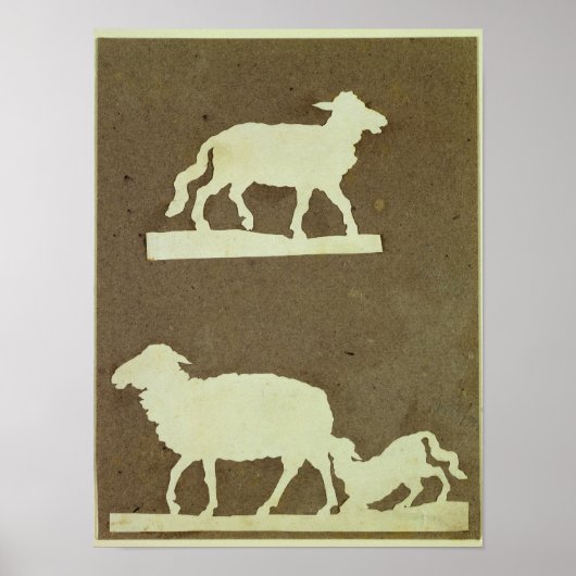 Schafe und Schafe mit Lamm Poster (Vorne)