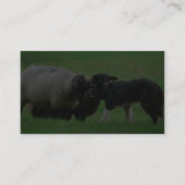 Schafe und Schäferhundauf Feld Visitenkarte (Rückseite)