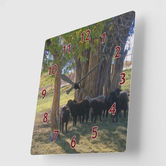 Schafe unter den Bäumen Quadratische Wanduhr (Winkel)