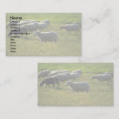 Schafe Visitenkarte (Vorne/Hinten)