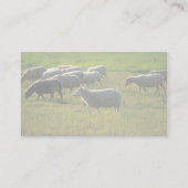 Schafe Visitenkarte (Rückseite)