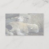 Schafe Visitenkarte (Rückseite)