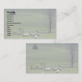 Schafe Visitenkarte (Vorne/Hinten)