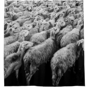SCHAFENHERD IN GRAYSCALE-FOTO DUSCHVORHANG