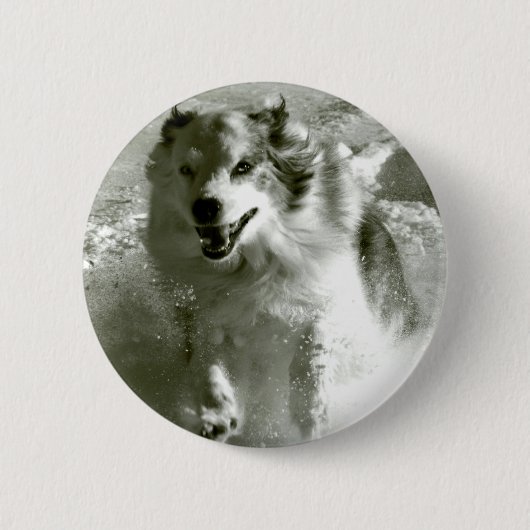 Schäfer-Hund, der in Schnee läuft, Button (Vorderseite)