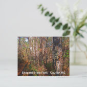 Schäfer Staat Park Parco Civico-Ciani Postkarte (Stehend Vorderseite)