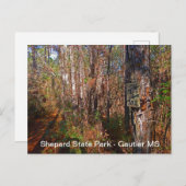 Schäfer Staat Park Parco Civico-Ciani Postkarte (Vorne/Hinten)