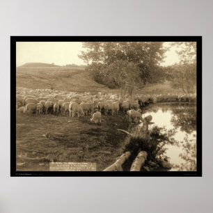 Schäfer und Menge South Dakota 1891 Poster