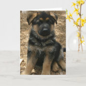 Schäfer-Welpen-Gruß-Karte Karte (Gelbe Blume)