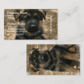 Schäfer-Welpen-Visitenkarten Visitenkarte (Vorne/Hinten)