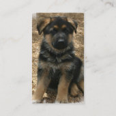 Schäfer-Welpen-Visitenkarten Visitenkarte (Rückseite)