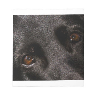 Schäferaugen Notizblock