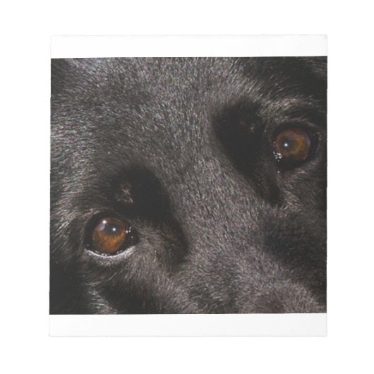 Schäferaugen Notizblock (Vorderseite)