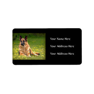 Schäferhund-Adressen-Etiketten Adressaufkleber