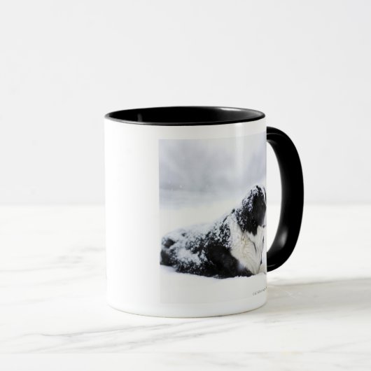 Schäferhund (Akbash/Colliemischung) liegend heraus Tasse (VorderseiteRechts)