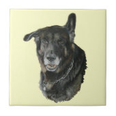 Schäferhund Akitas mischte Zuchthundekunstfliese Fliese (Vorderseite)