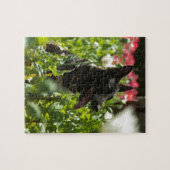 Schäferhund auf einem Gebiet Puzzle (Horizontal)