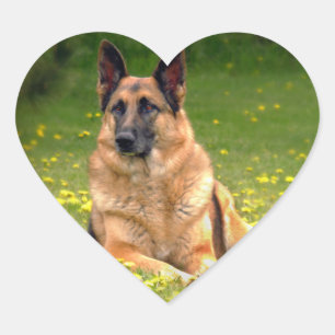 Schäferhund-Aufkleber Herz-Aufkleber