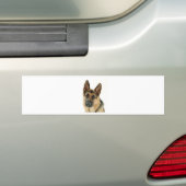 Schäferhund Autoaufkleber (Auf Auto)