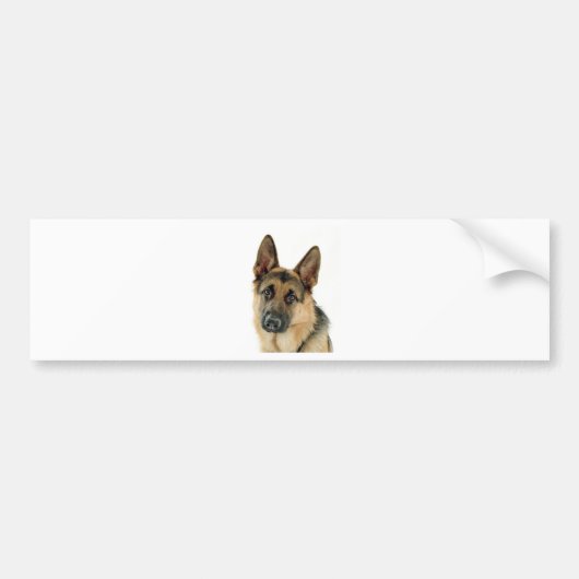 Schäferhund Autoaufkleber (Vorne)