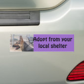 Schäferhund-Autoaufkleber Autoaufkleber (Auf Auto)