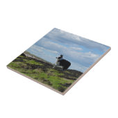 Schäferhund bereit auf Felsen Fliese (Seite)