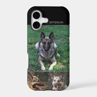 Schäferhund: Bild-Collage